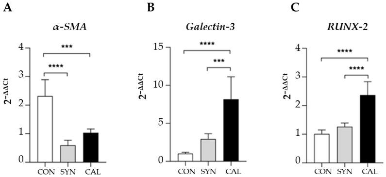 https://cdn.ncbi.nlm.nih.gov/pmc/blobs/c2fa/12108999/62e9e89a31b6/biomedicines-13-01127-g007.jpg