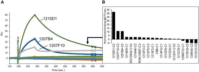 https://cdn.ncbi.nlm.nih.gov/pmc/blobs/c2fb/8212047/18b08c5f60df/fimmu-12-691715-g008.jpg