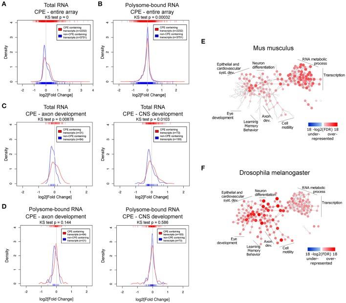 https://cdn.ncbi.nlm.nih.gov/pmc/blobs/c2fd/5770975/65a8d495f710/fnmol-10-00445-g0004.jpg