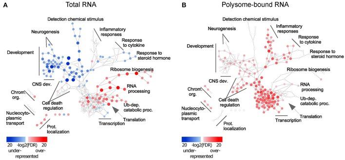 https://cdn.ncbi.nlm.nih.gov/pmc/blobs/c2fd/5770975/bc174e2bb95c/fnmol-10-00445-g0002.jpg