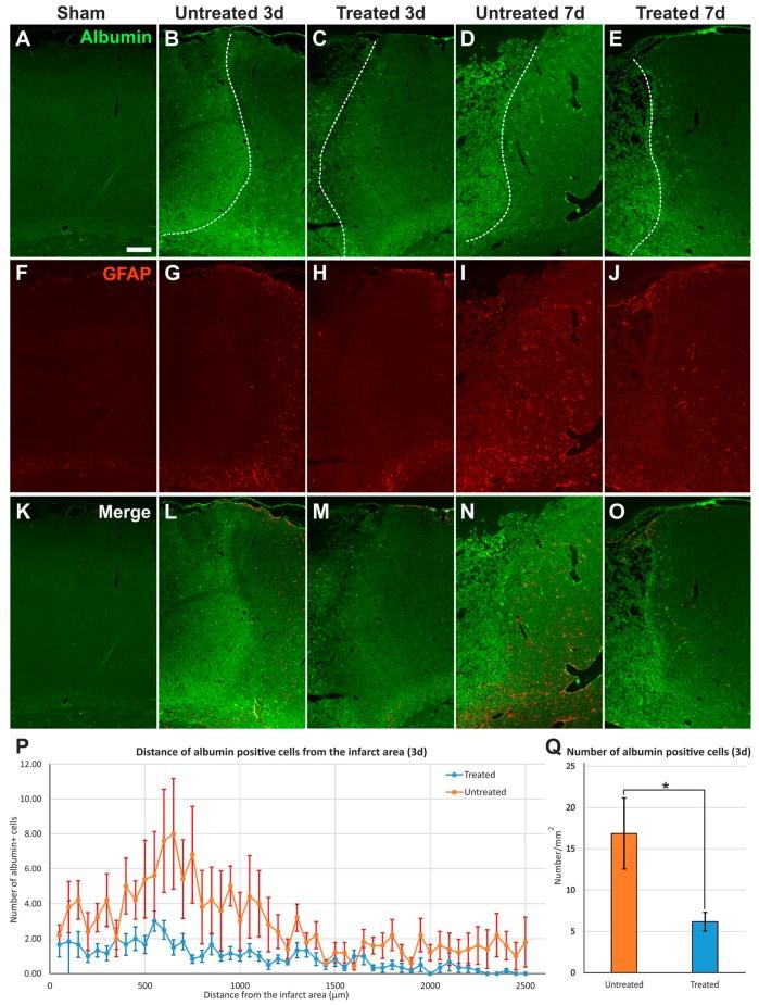 https://cdn.ncbi.nlm.nih.gov/pmc/blobs/c2fd/5795996/e94592f31c79/ijms-19-00046-g002.jpg