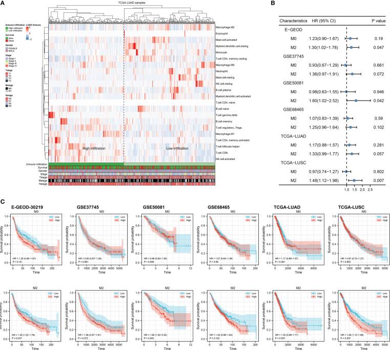 https://cdn.ncbi.nlm.nih.gov/pmc/blobs/c2fd/9797692/20b48f144d15/fonc-12-1096449-g001.jpg