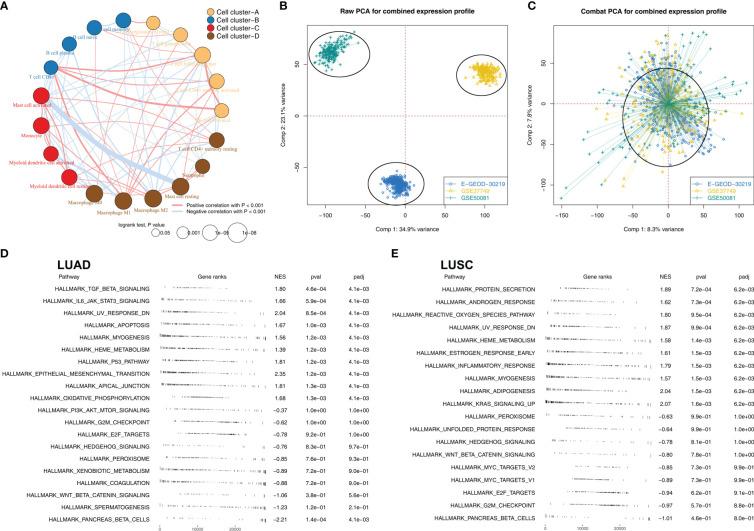 https://cdn.ncbi.nlm.nih.gov/pmc/blobs/c2fd/9797692/7330996a18c1/fonc-12-1096449-g002.jpg