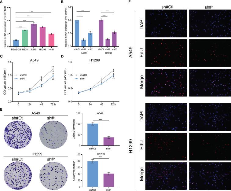 https://cdn.ncbi.nlm.nih.gov/pmc/blobs/c2fd/9797692/7c4c9e506312/fonc-12-1096449-g008.jpg