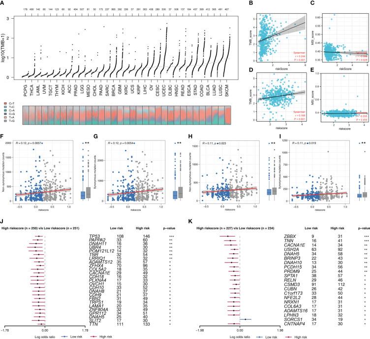 https://cdn.ncbi.nlm.nih.gov/pmc/blobs/c2fd/9797692/eda67f77b935/fonc-12-1096449-g006.jpg