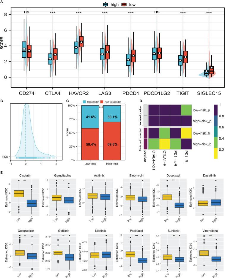 https://cdn.ncbi.nlm.nih.gov/pmc/blobs/c2fd/9797692/f04ad12fd06b/fonc-12-1096449-g007.jpg