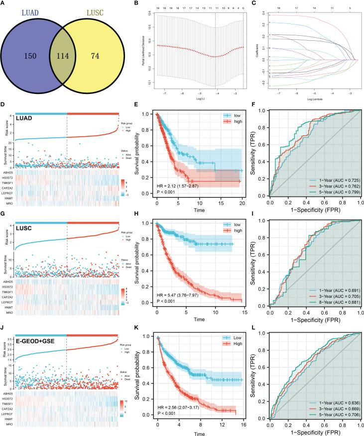 https://cdn.ncbi.nlm.nih.gov/pmc/blobs/c2fd/9797692/fa0506e2d4fb/fonc-12-1096449-g003.jpg