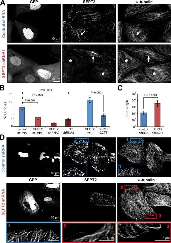 https://cdn.ncbi.nlm.nih.gov/pmc/blobs/c300/3144415/e6cfa8c16730/JCB_201102076_RGB_Fig2.jpg