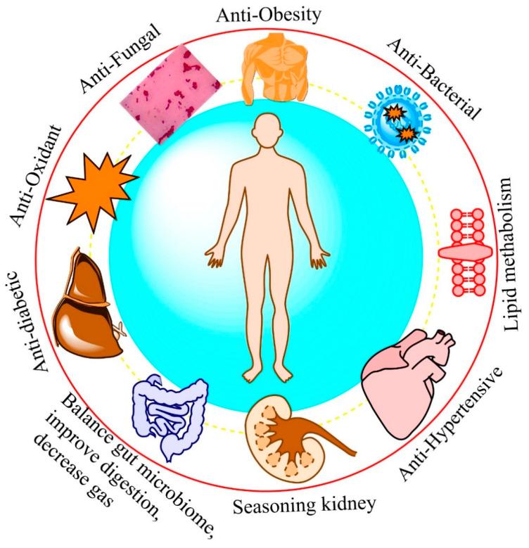 https://cdn.ncbi.nlm.nih.gov/pmc/blobs/c302/11854781/894abb96ce45/foods-14-00698-g003.jpg