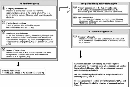 https://cdn.ncbi.nlm.nih.gov/pmc/blobs/c302/2910889/629ad1c483a9/401_2009_485_Fig1_HTML.jpg