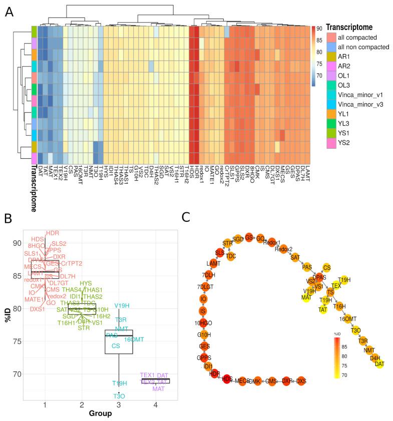 https://cdn.ncbi.nlm.nih.gov/pmc/blobs/c304/7761029/133270917458/biomolecules-10-01595-g005.jpg