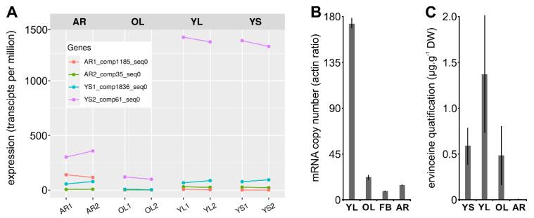 https://cdn.ncbi.nlm.nih.gov/pmc/blobs/c304/7761029/403ca1715bdf/biomolecules-10-01595-g006.jpg