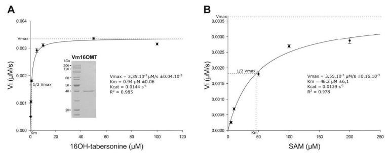 https://cdn.ncbi.nlm.nih.gov/pmc/blobs/c304/7761029/4d64d5680bcf/biomolecules-10-01595-g008.jpg