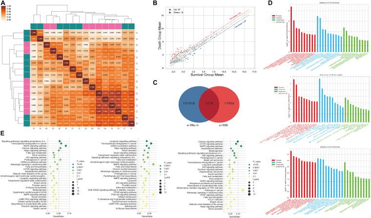 https://cdn.ncbi.nlm.nih.gov/pmc/blobs/c306/8113841/ea6545749c2b/fmolb-08-657631-g002.jpg
