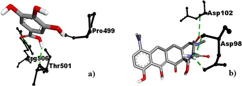 https://cdn.ncbi.nlm.nih.gov/pmc/blobs/c308/8381014/06fbd20756e3/gr1.jpg