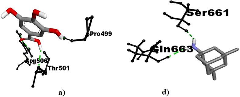 https://cdn.ncbi.nlm.nih.gov/pmc/blobs/c308/8381014/aa3eb2678b2b/gr7.jpg