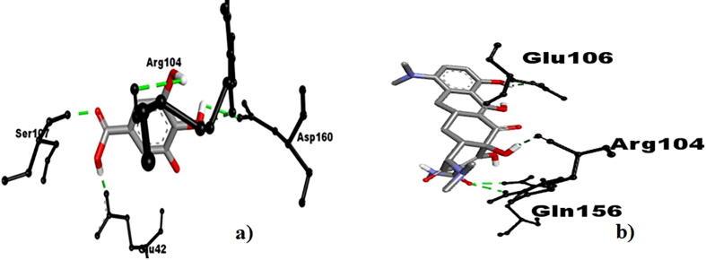 https://cdn.ncbi.nlm.nih.gov/pmc/blobs/c308/8381014/efdc781862e7/gr5.jpg