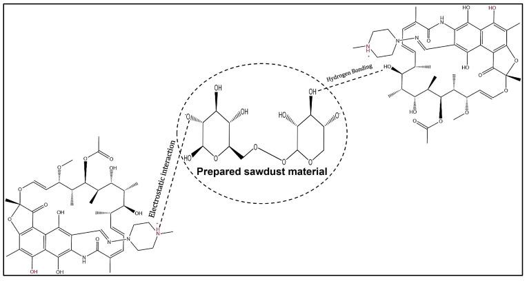 https://cdn.ncbi.nlm.nih.gov/pmc/blobs/c30a/11939547/5f7c31ab4722/antibiotics-14-00324-g012.jpg