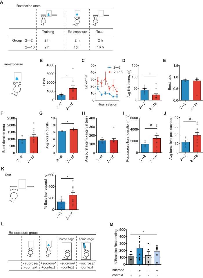 https://cdn.ncbi.nlm.nih.gov/pmc/blobs/c30b/6039177/0069f71fd55e/elife-35988-fig1.jpg