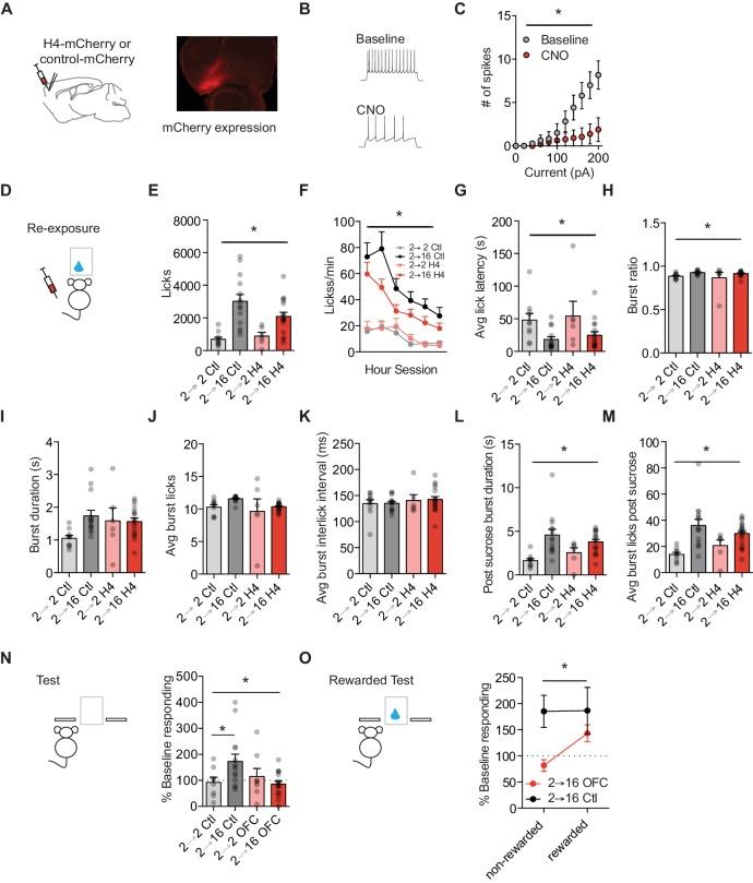 https://cdn.ncbi.nlm.nih.gov/pmc/blobs/c30b/6039177/7975c854cc97/elife-35988-fig3.jpg