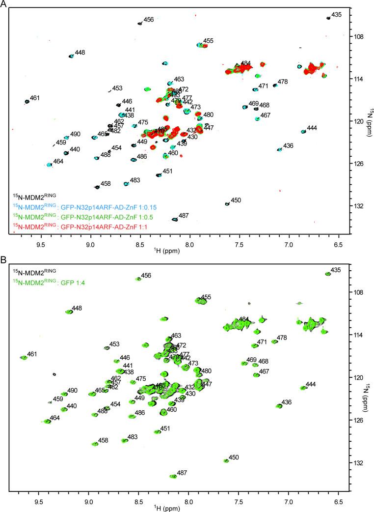 https://cdn.ncbi.nlm.nih.gov/pmc/blobs/c30d/9366199/19bcf85589f4/LSA-2022-01472_FigS4.jpg