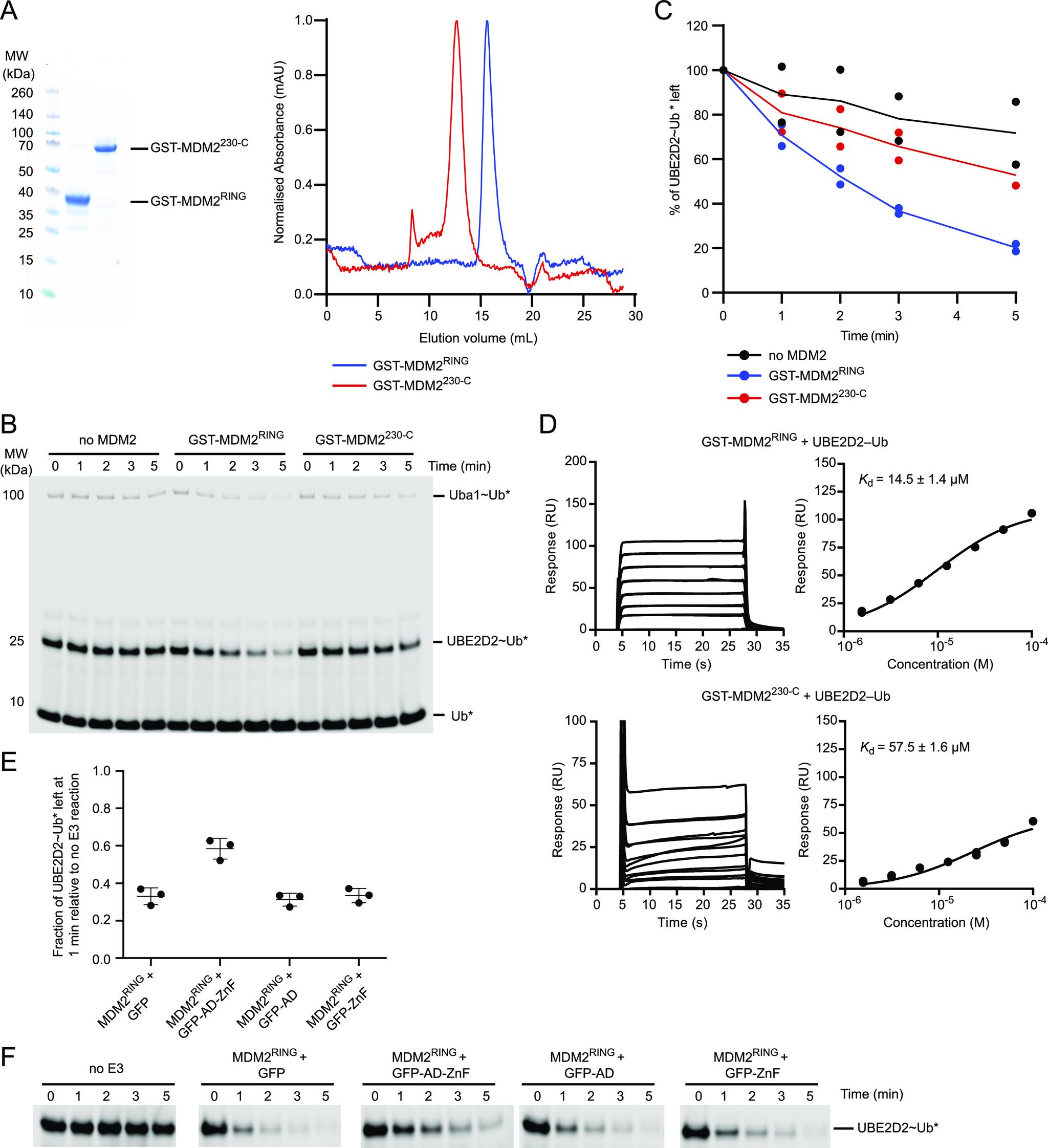 https://cdn.ncbi.nlm.nih.gov/pmc/blobs/c30d/9366199/824c3e34c791/LSA-2022-01472_Fig2.jpg