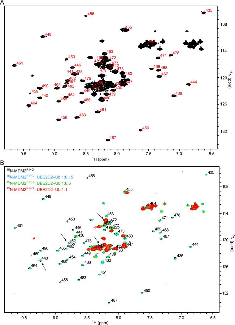https://cdn.ncbi.nlm.nih.gov/pmc/blobs/c30d/9366199/cebbf4ec67c6/LSA-2022-01472_FigS1.jpg