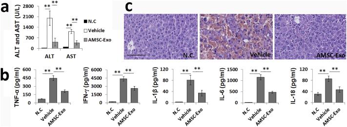 https://cdn.ncbi.nlm.nih.gov/pmc/blobs/c30e/6197728/f2352547a8f8/gr2.jpg
