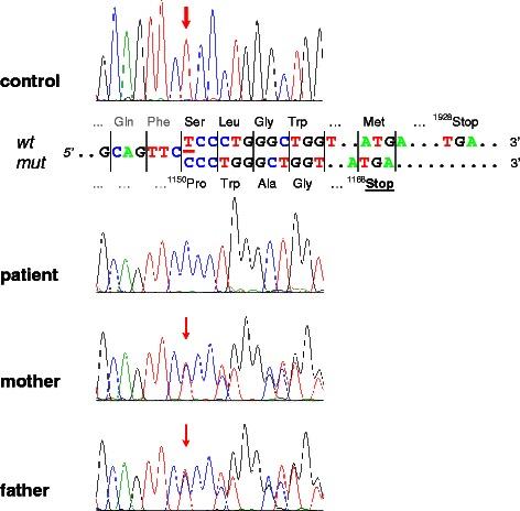 https://cdn.ncbi.nlm.nih.gov/pmc/blobs/c311/4515929/ae8a85ce6023/12876_2015_316_Fig2_HTML.jpg