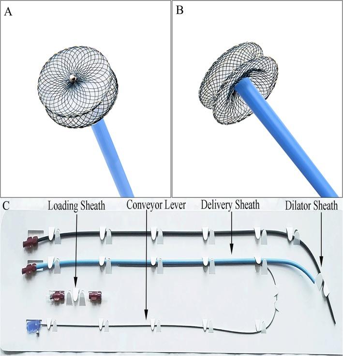 https://cdn.ncbi.nlm.nih.gov/pmc/blobs/c313/6717354/e18c06e7eb01/12887_2019_1687_Fig1_HTML.jpg
