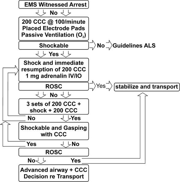 https://cdn.ncbi.nlm.nih.gov/pmc/blobs/c315/3493270/6beecc8f197e/1757-7241-20-65-4.jpg