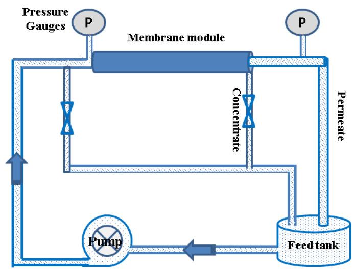 https://cdn.ncbi.nlm.nih.gov/pmc/blobs/c315/8002872/4bf81d216c36/membranes-11-00212-g001.jpg
