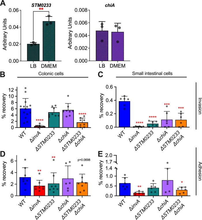 https://cdn.ncbi.nlm.nih.gov/pmc/blobs/c316/9049507/d64b2346e323/ppat.1010167.g001.jpg