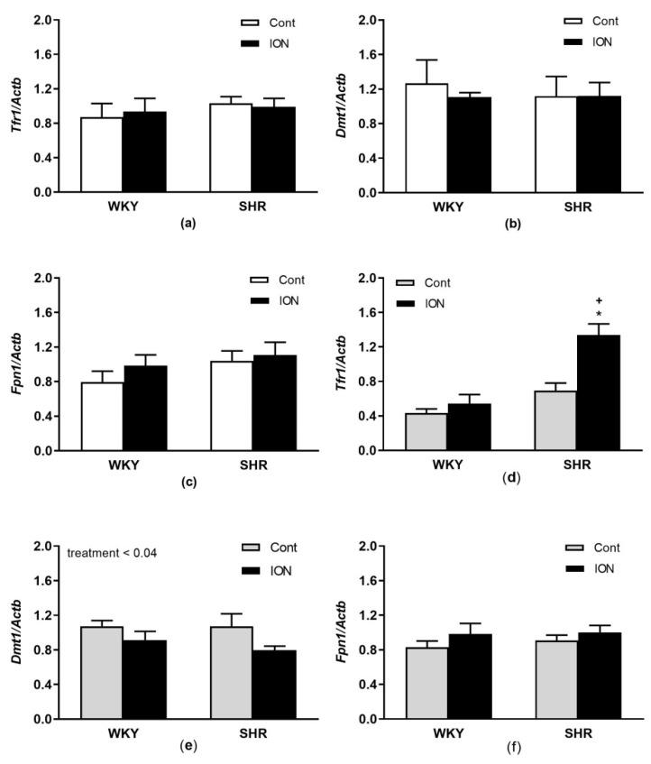 https://cdn.ncbi.nlm.nih.gov/pmc/blobs/c31a/10220547/36b2572d7646/pharmaceutics-15-01475-g007.jpg
