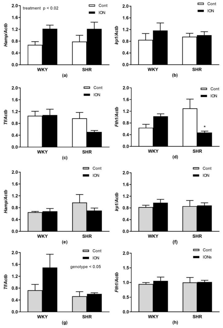 https://cdn.ncbi.nlm.nih.gov/pmc/blobs/c31a/10220547/92fb1b4739e9/pharmaceutics-15-01475-g006.jpg