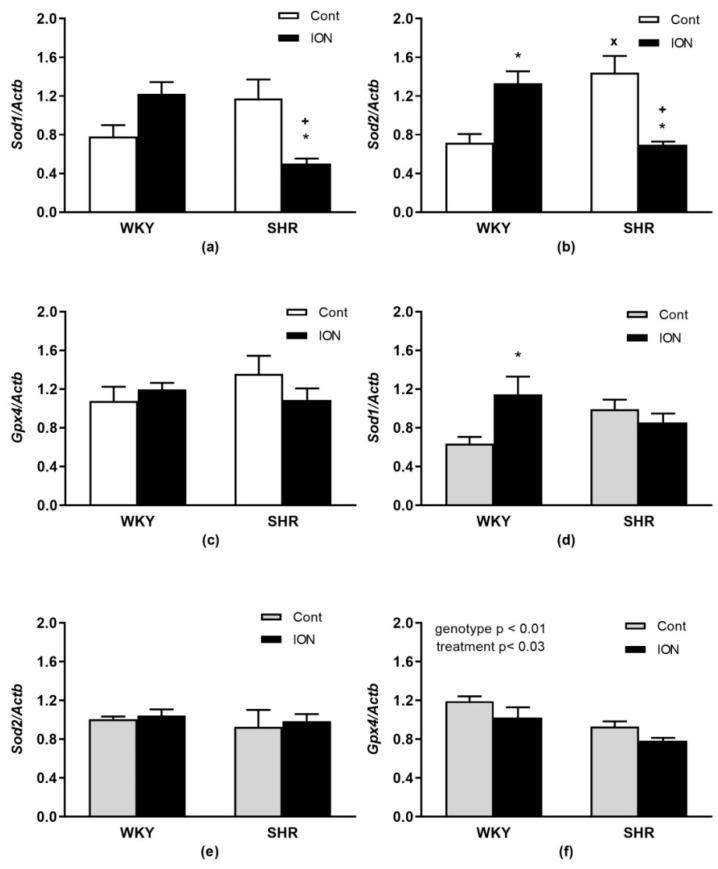 https://cdn.ncbi.nlm.nih.gov/pmc/blobs/c31a/10220547/ed9b4afe9dbc/pharmaceutics-15-01475-g005.jpg