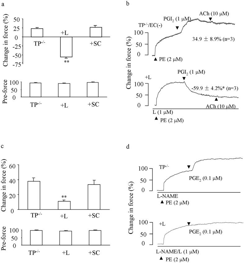 https://cdn.ncbi.nlm.nih.gov/pmc/blobs/c31b/5292700/278503dc5c73/srep42167-f3.jpg