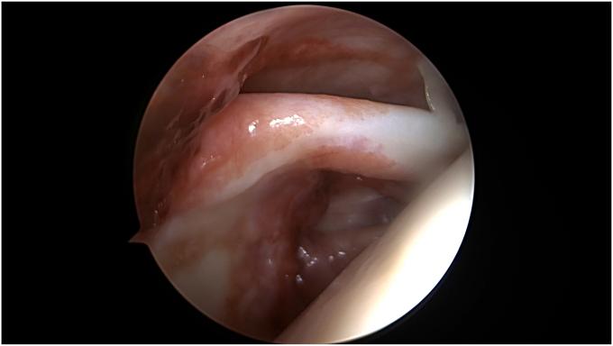 https://cdn.ncbi.nlm.nih.gov/pmc/blobs/c320/11401564/62d5e3069a12/gr1.jpg