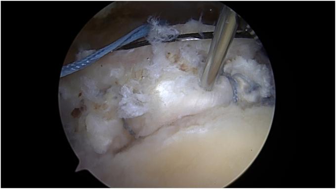 https://cdn.ncbi.nlm.nih.gov/pmc/blobs/c320/11401564/6ab328c0e9bd/gr8.jpg