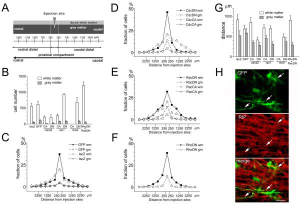 https://cdn.ncbi.nlm.nih.gov/pmc/blobs/c321/2789715/8e9fa1f33301/1756-6606-2-37-5.jpg