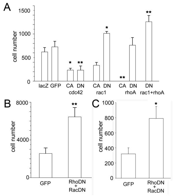 https://cdn.ncbi.nlm.nih.gov/pmc/blobs/c321/2789715/f7284cc02888/1756-6606-2-37-3.jpg
