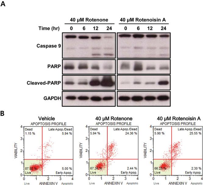 https://cdn.ncbi.nlm.nih.gov/pmc/blobs/c322/7948853/2678589725fc/rrab005f6.jpg
