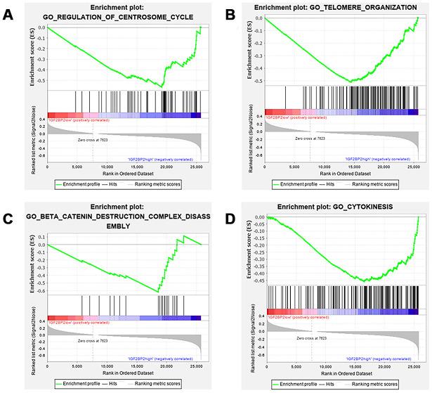 https://cdn.ncbi.nlm.nih.gov/pmc/blobs/c323/7655159/6edba65971d6/aging-12-103942-g007.jpg