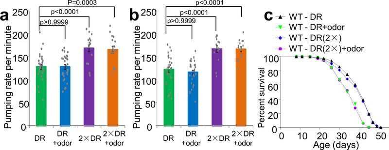https://cdn.ncbi.nlm.nih.gov/pmc/blobs/c323/8009090/3249ea58cd46/nihms-1668470-f0007.jpg