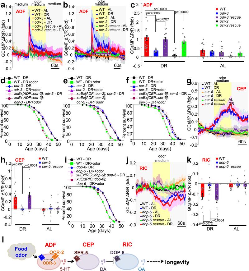 https://cdn.ncbi.nlm.nih.gov/pmc/blobs/c323/8009090/8ee7f57db41d/nihms-1668470-f0003.jpg