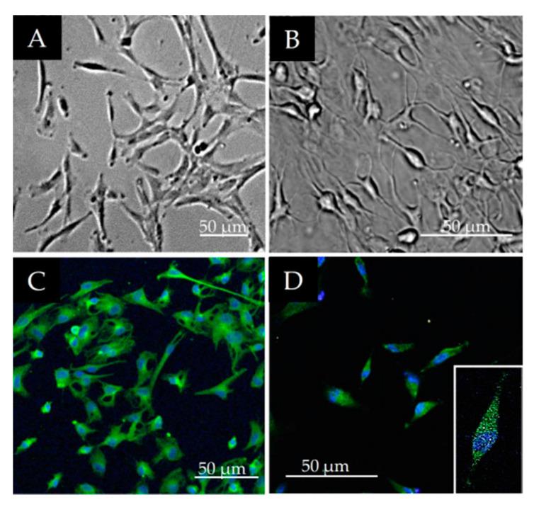 https://cdn.ncbi.nlm.nih.gov/pmc/blobs/c323/8622966/3874dd33a8c4/polymers-13-03951-g004.jpg