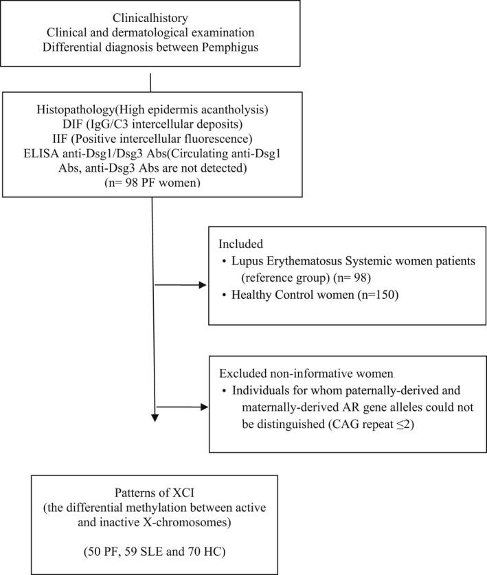 https://cdn.ncbi.nlm.nih.gov/pmc/blobs/c323/9747557/206f9017da2d/MGG3-10-e2080-g002.jpg
