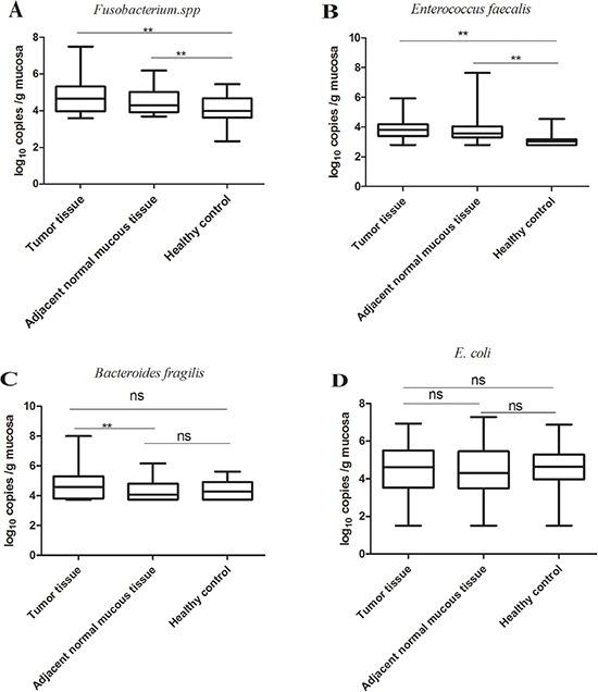 https://cdn.ncbi.nlm.nih.gov/pmc/blobs/c324/5348355/6946b7f07f1d/oncotarget-07-80794-g002.jpg