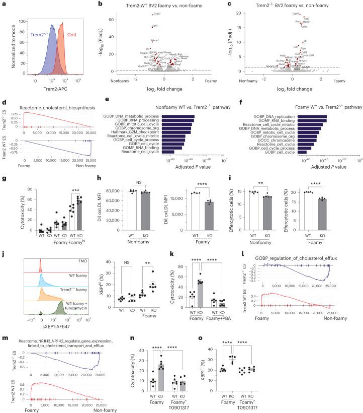 https://cdn.ncbi.nlm.nih.gov/pmc/blobs/c326/11041796/2e31b8a63597/44161_2023_354_Fig8_HTML.jpg