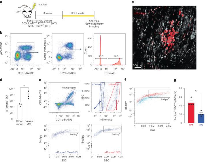 https://cdn.ncbi.nlm.nih.gov/pmc/blobs/c326/11041796/3eb54bff4a4a/44161_2023_354_Fig3_HTML.jpg